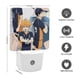 thumbnail image 2 of Haikyuu Luz nocturna LED con sensor de anochecer a amanecer para dormitorio, baño, pasillo, escaleras - Lámpara LED nocturna de enchufe, 0.5W - 1 pieza, 2 of 6