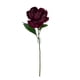 thumbnail image 1 of Peonia Burdeo 45cm Con Acabado Natural, 1 of 3