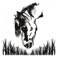 Rienda Libre Graphics - Decomural Horse Head Grass Farm Ws-18603