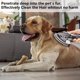 thumbnail image 5 of Herramienta de Arreglo para Perro Mascota Dy*son, Cepillo de Accesorio, Compatible con Aspiradoras Dy*son V15 V12 V11 V10 V8 V7 DC62 DC65, con Manguera de Vacío Extendida y Bloqueo de Gatillo, 5 of 7