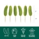 thumbnail image 3 of Velas Fred & Friends 5 cm con Forma de Pepinillo – Pack de 6, 3 of 5