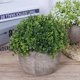 thumbnail image 4 of Planta Artificial Ogrmar de 12 cm con Hoja Verde en Maceta, 4 of 5