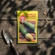 thumbnail image 3 of Semillas Zapallo Italiano Gray Zucchini Las Encinas, 3 of 5