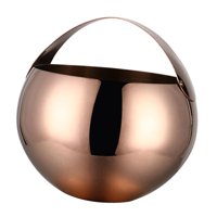 Bothyi - Cubo De Hielo De Acero Inoxidable Cubo De Botella De Cerveza De Vino De Champán 2L Oro Rosa