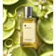 thumbnail image 5 of Extracto de Perfume SCENTSPIRED 100 ml Té de Jengibre, 5 of 6