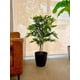 thumbnail image 4 of Planta Artificial Decorativa Arbol Grande Bamboo 120cm 730hj, 4 of 9