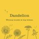 thumbnail image 2 of Ambientador Mrs. MEYER'S Dandelion Scent 236 ml, 2 of 6