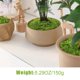 thumbnail image 4 of Musgo artificial Fancypost 150 g – Decoración verde para manualidades, 4 of 8