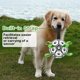thumbnail image 4 of Pelota de fútbol para perros Kylinsure 15 cm con correas, 4 of 9