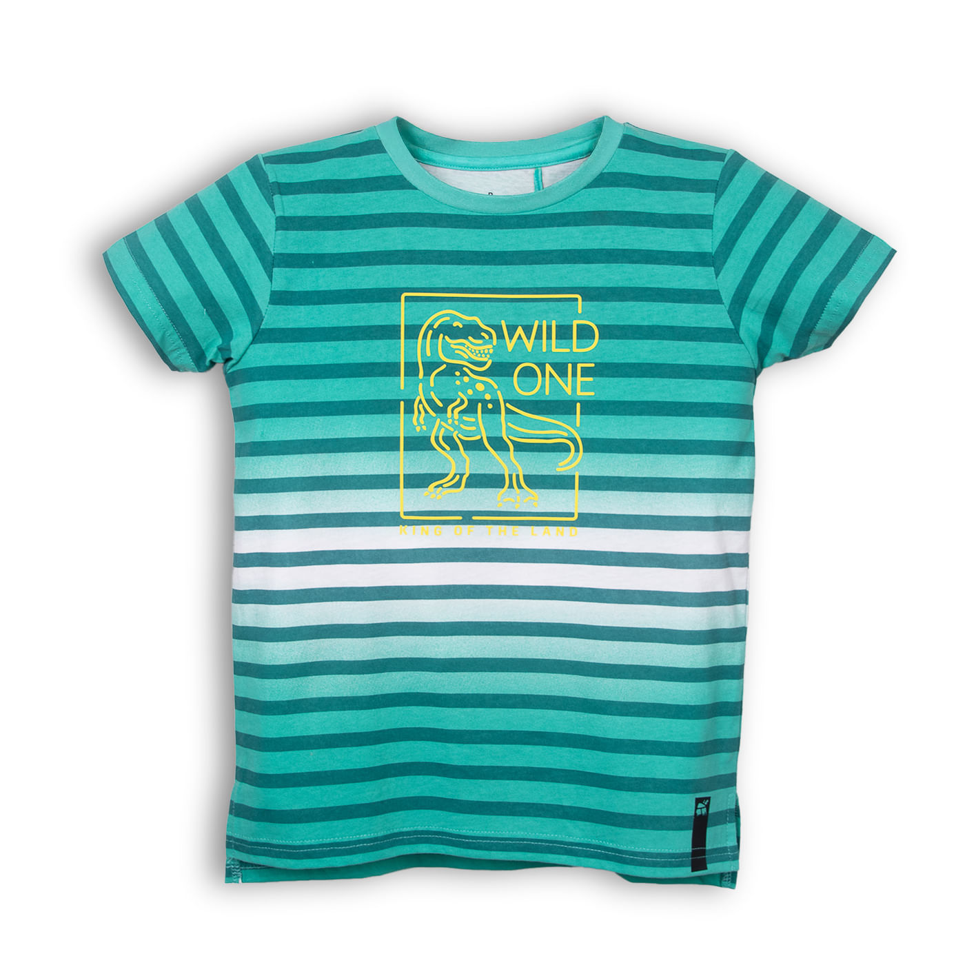 Polera Niño Aqua Pillin