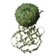 thumbnail image 2 of 1 rollo 80m vides artificiales ratán colgando casa pared hiedra verde hojas cinta, 2 of 5