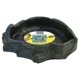 thumbnail image 1 of Plato de agua Zoo Med Reptile Rock, tamaño XL, varios colores, 1 of 3