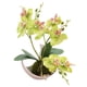 thumbnail image 1 of Bonsái lunar de orquídea phalaenopsis de tres puntas, flor artificial decorativa, planta verde en maceta, decoración del hogar, 1 of 5