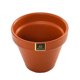 thumbnail image 2 of Set 3 Maceteros Kony Terracota 15 cm + Plato, 2 of 6