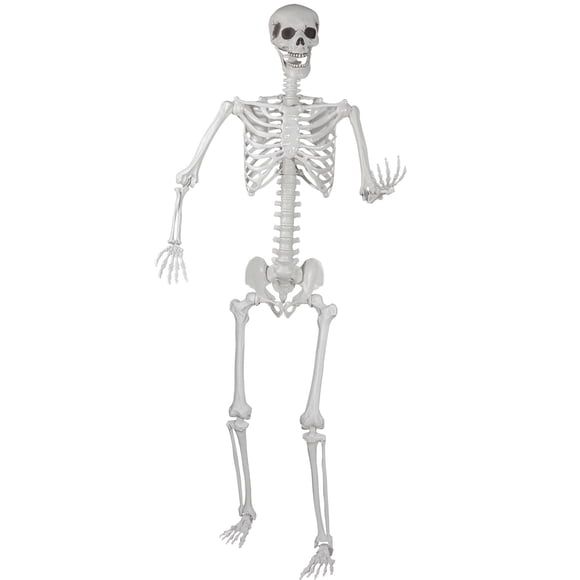 Articulaciones móviles realistas con forma de esqueleto Kukooka de Halloween, 180 cm