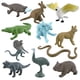 thumbnail image 3 of Juguete Educativo De Aprendizaje Modelo Animal Australiano De 11 Piezas Para Niños, 3 of 3