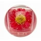 thumbnail image 2 of Brillo de Labios Duo Blossom - Rojo, 2 of 3