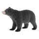 thumbnail image 4 of Simulación Animal Modelo Ni?os Juguetes Educativos Oso L127 721, 4 of 5