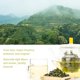 thumbnail image 2 of Té Oriarm Anxi Tieguanyin Oolong Hoja Suelta 100 g, 2 of 7