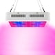 thumbnail image 1 of Panel Luz Grow Led Indoor 600w Cultivo Interior, 1 of 3