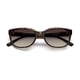thumbnail image 3 of Lentes De Sol Modelo PLD 4030/S, 3 of 3