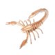thumbnail image 4 of Juego De Montaje De Modelo De Insecto De Rompecabezas De Madera 3D Para Ni?os Insectos Educativos Para Ni?os Estilo F, 4 of 5