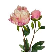 Corel - Peonia Cerrada Rosada 57Cm