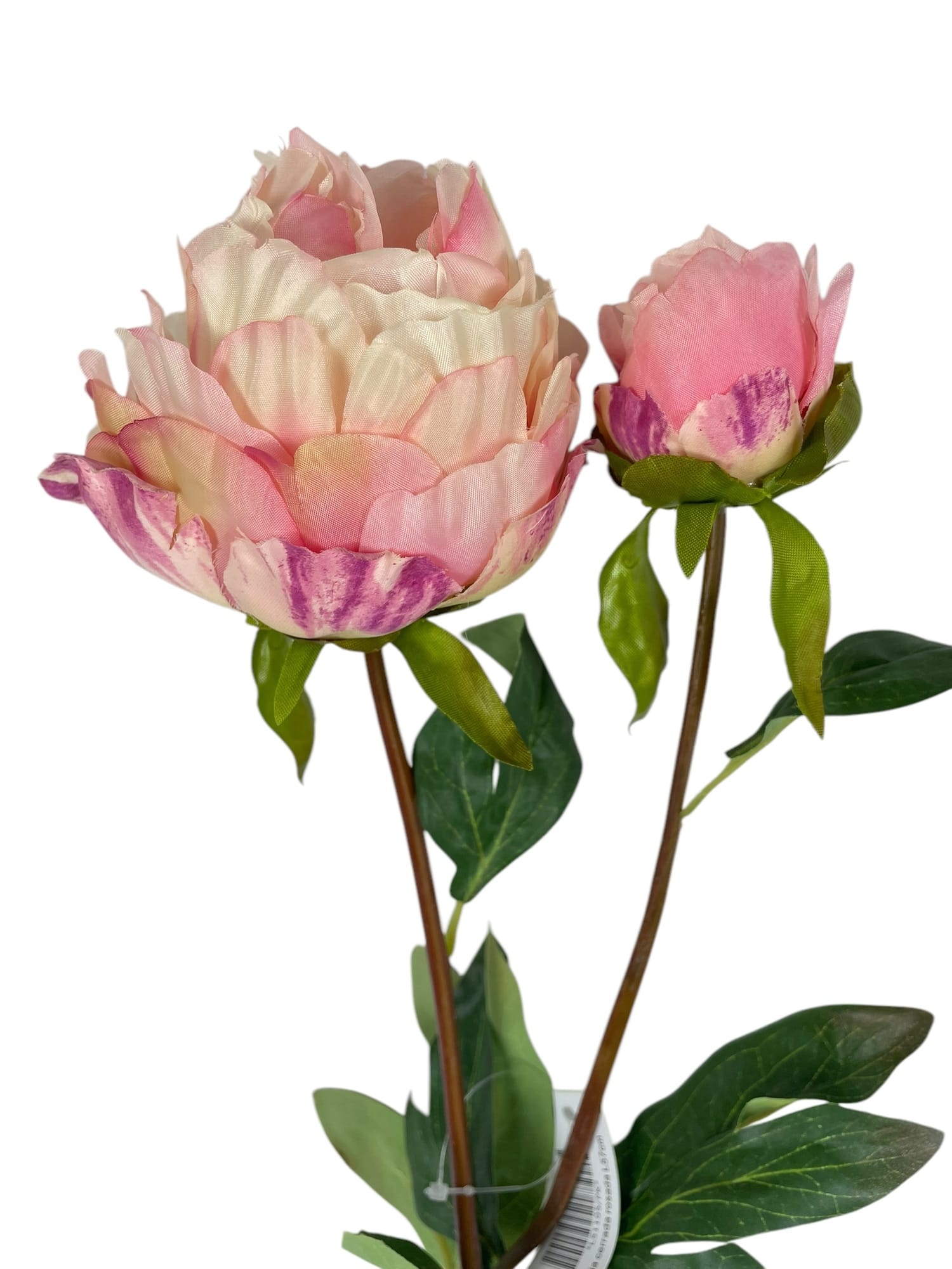 Corel - Peonia Cerrada Rosada 57Cm