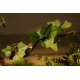 thumbnail image 2 of Planta Artificial AQUA KT Rama para Reptiles de 22 cm, 2 of 9