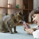 thumbnail image 4 of Churu Snack Para Gato Tarro Variedades Atún 50 Tubos, 4 of 7