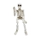 thumbnail image 4 of Mini Figura De Esqueleto, Estatua De Calavera En Miniatura Para Patio, Sala De Estar, 4 of 5