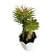 thumbnail image 4 of Suculentas Artificiales Con Macetero. Pack De 3. Decoracion verde, 4 of 4