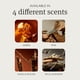 thumbnail image 5 of Spray de ambiente Drift 60 ml Aroma a Teca, 5 of 6