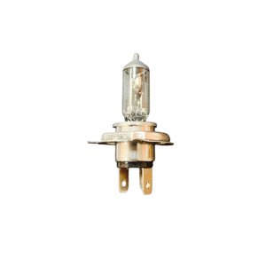 Pack X10 Ampolleta Halogeno H4 12V60/55W Base P43T Para Auto Fsl