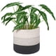 thumbnail image 2 of Cesta de cuerda resistente para plantas, moderna cesta tejida para macetas de interior, organizador de almacenamiento, decoración rústica para el hogar., 2 of 8