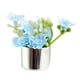 thumbnail image 1 of Maceta En Miniatura Para Casa De Muñecas, Modelo De Maceta Para Decoración De Casa De Muñecas, Flor Azul Claro, 1/12, 1 of 5