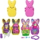 thumbnail image 1 of Polly Pocket Juguete Micro Muñeca con 2 Sets de Juego y 7 Accesorios, 1 of 6