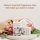 thumbnail image 3 of Home Scent Refill Pura & Brooklyn Candle Studio Smart Difusor, 3 of 7