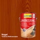 thumbnail image 2 of Protect Stain Nogal Pinturas Tajamar Pack 6un 1L, 2 of 2