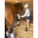 thumbnail image 4 of Liniment Spray Banixx Premium para caballos, 390 ml, natural, 4 of 4