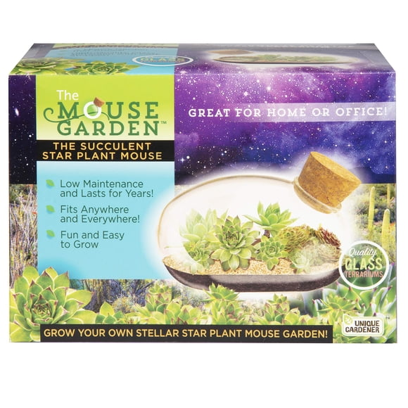 Kit de terrario Unique Gardener Grow Suculenta Planta Estrella