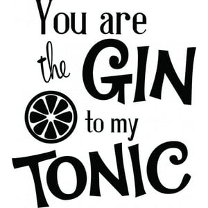 Rienda Libre Graphics - Decomural Gin To My Tonic Alcohol Love Ws-41457