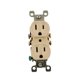 thumbnail image 1 of Luz Leviton, 15 amperios, 125 V, dúplex, para uso residencial, color almendra, 1 of 3