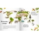 thumbnail image 2 of Secretos del Bosque de Editorial Contrapunto, 2 of 9