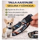 thumbnail image 5 of Collar Perro Talla S 3-8 kg Ajustable 20-31 cm Tela multicolor, 5 of 11