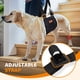 thumbnail image 2 of Arnés Dog Lift Pick For Life, soporte ajustable para patas traseras, 2 of 8