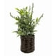 thumbnail image 1 of Planta lavanda artificial macetero ratán, 1 of 3