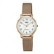 thumbnail image 1 of Reloj Análogo Dorado Q&Q QA21J064Y, 1 of 1