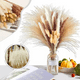 thumbnail image 2 of Pampas secas 65 uds plantas decorativas, 2 of 3