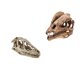 thumbnail image 3 of 2pcs Resina Dinosaurio Cráneo Modelo Dinosaurio Resina Cráneo Modelo Coleccionables, 3 of 5